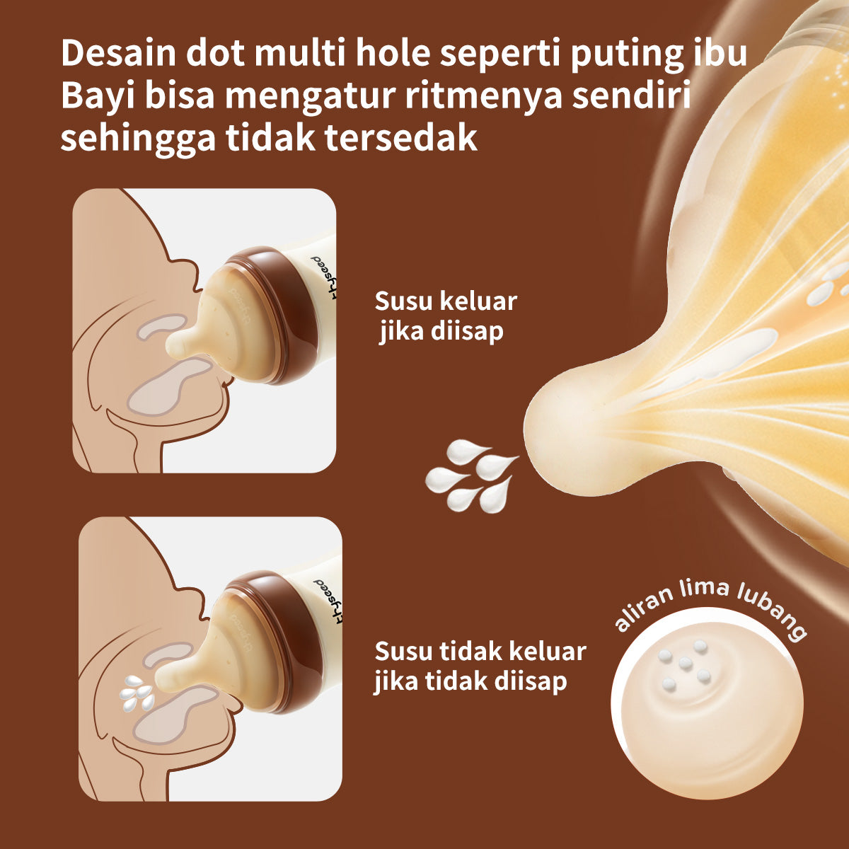 Thyseed Dot Bayi Newborn